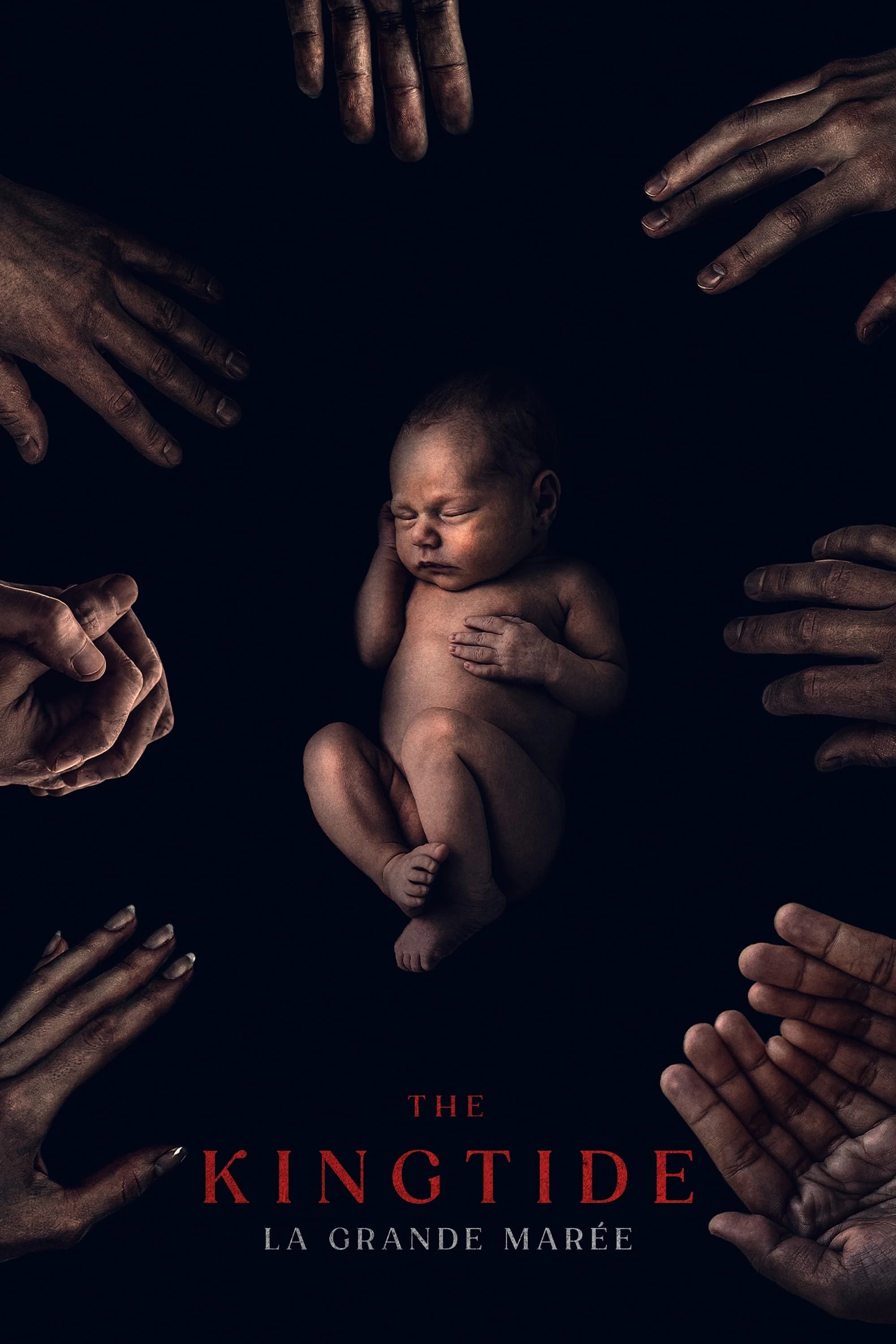 جزیره جاودانه ها